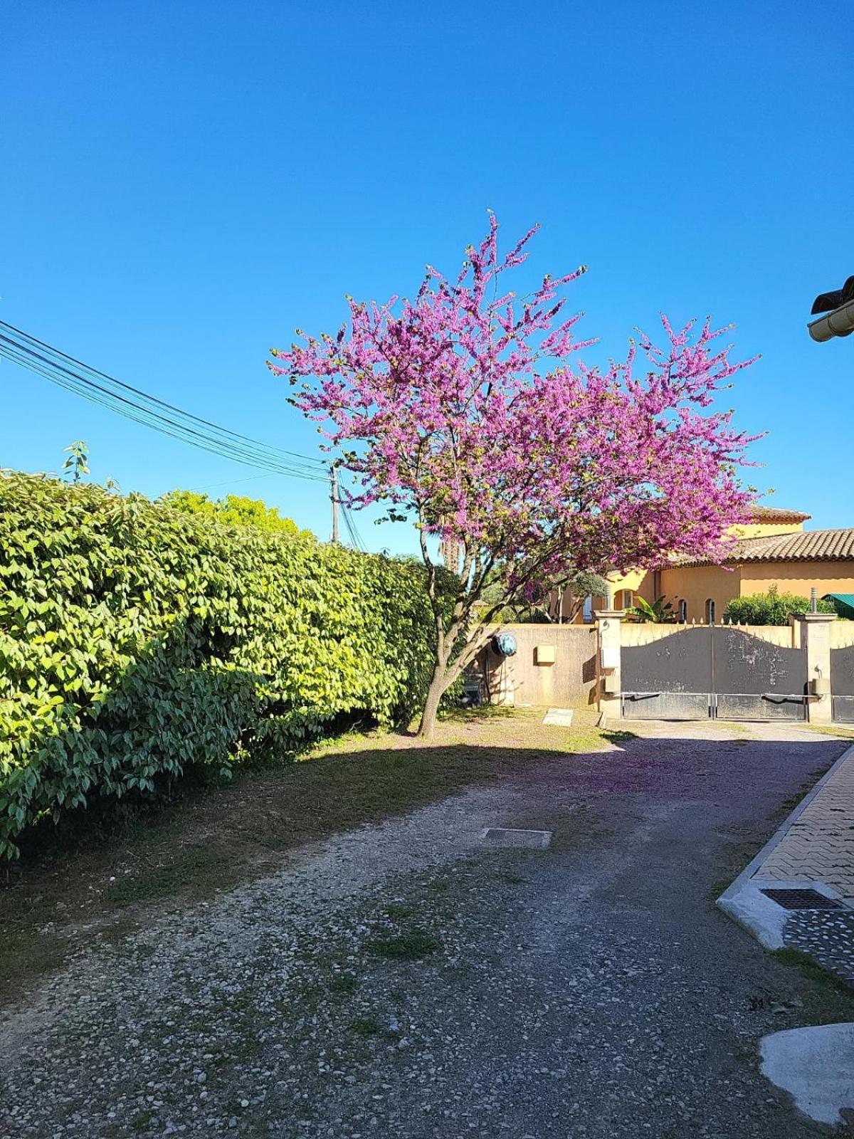 Apartment La Toscane Roquebrune-sur-Argens